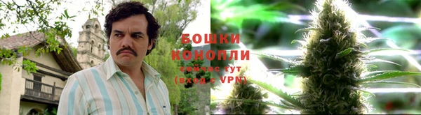 альфа пвп Корсаков