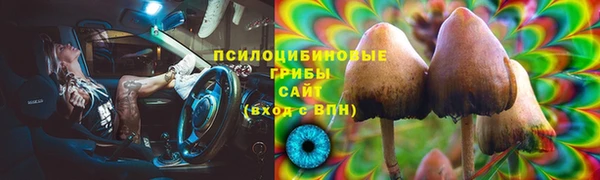 спиды Костерёво
