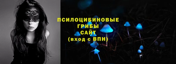спиды Костерёво