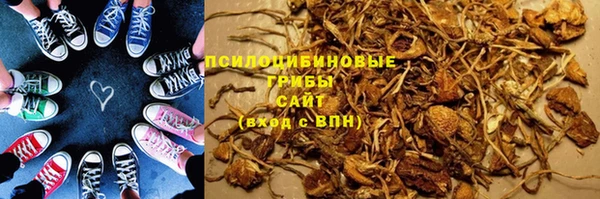 спиды Костерёво