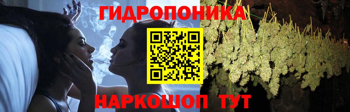 Бошки Шишки семена  Бошки марихуана индика  Бошки марихуана план  Вход с VPN  Железногорск 